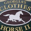 Georgia's Clothes Horse: Geneseo, NY
