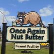 Once Again Nut Butter: Nunda, NY 14517
