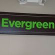 Evergreen Lofts: Buffalo, NY 14211