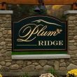 Plum Ridge Development: Ellicottville, NY 14731