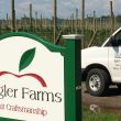 Zingler Farms: Kendall, NY 14476