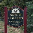 Village of North Collins