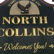 Village of North Collins