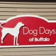 Dog Days: Buffalo, NY 14207