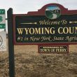 Wyoming County: Perry, NY 14530