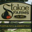 Stokoe Farms