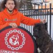 Upstate Cane Corso: Rochester, NY 14605