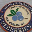 Hunts Pond Blueberry Farm