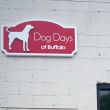 Dog Days: Buffalo, NY 14207