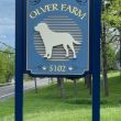 Olver Farm: Romulus NY