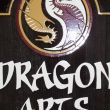 Dragon Arts Karate: Hamburg, NY