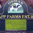 Knapp Farms Estate: Ossian, NY