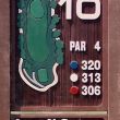 Westvale Tee Marker, Westvale Golf Club: Camillus, NY