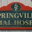 Springville Animal Hospital Building