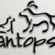 Pantops Veterinary Hospital: Charlottesville, VA