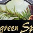 Evergreen Springs: Ellicottsburg, Pennsylvania