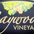 Caywood Vineyards, Keuka Lake: Hammonsport, NY