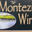 Montezuma Winery: Seneca Falls, NY