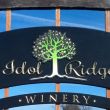 Idol Ridge Winery: Lodi, NY