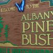 Albany Pine Bush: Albany, NY