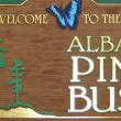 Albany Pine Bush: Albany, NY